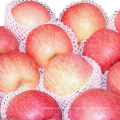 New Crop Chinese FUJI Apple